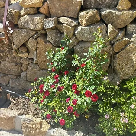 El Patio De Tinajas *