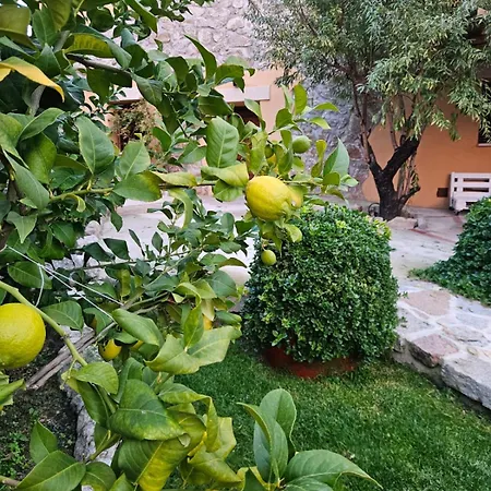 El Patio De Tinajas