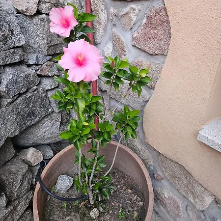 Сasa de vacaciones El Patio De Tinajas