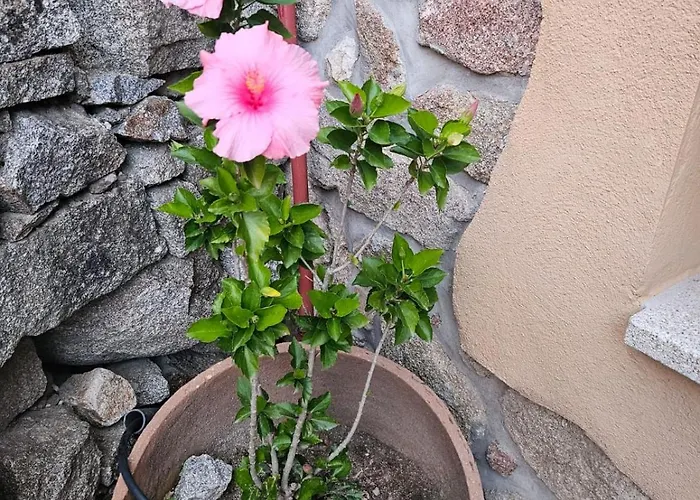 펜션 El Patio De Tinajas