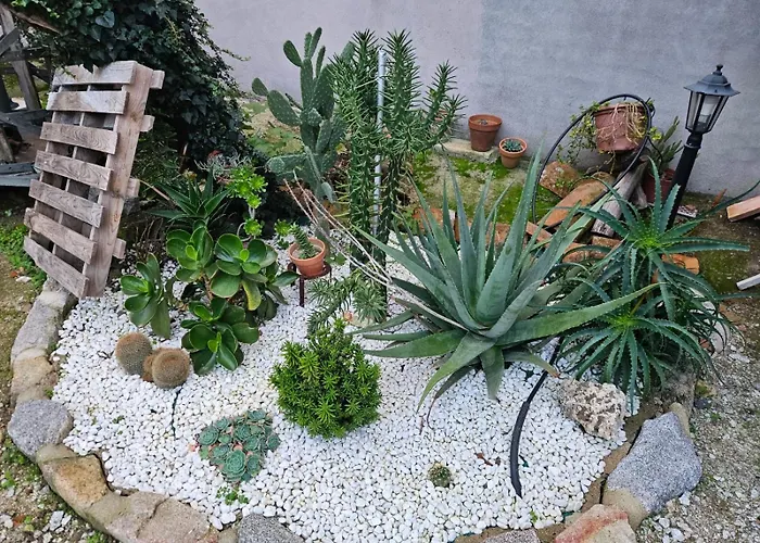 El Patio De Tinajas 펜션 소티요 데 라 아드라다